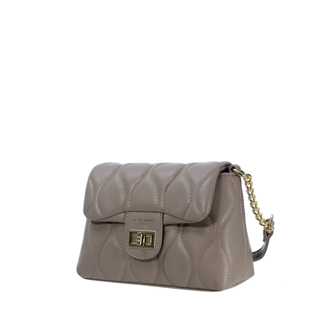 A chic david jones handbag with a gold chain strap and a clasp closure, ideal for stylish outings.