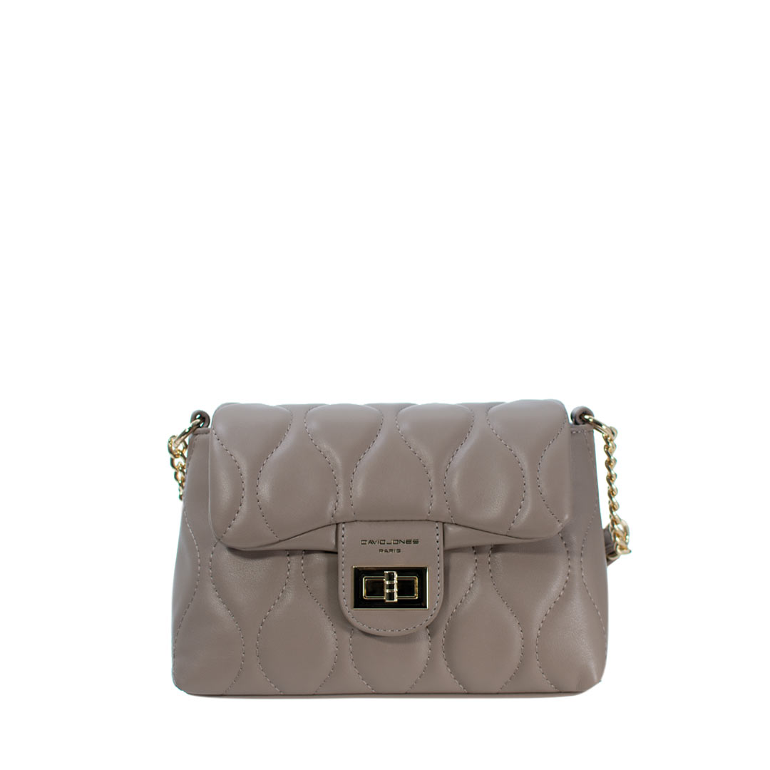 A chic david jones handbag with a gold chain strap and a clasp closure, ideal for stylish outings..